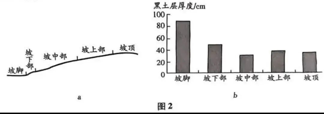 2025年浙江成人高考高起本《历史地理》真题及答案解析(图3) 图片