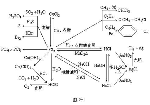 【浙江成人高考】2019年高起点化学元素及其化合(图1)